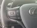 Lexus LS 500 h Executive Line *Matrix*Luftfeder*360*HUD* Silber - thumbnail 24