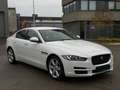 Jaguar XE Pure 2.0d Euro6 Xenon Navi Keyless Schalter!! Blanc - thumbnail 2