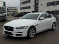 Jaguar XE Pure 2.0d Euro6 Xenon Navi Keyless Schalter!! Blanc - thumbnail 1