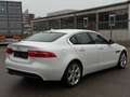 Jaguar XE Pure 2.0d Euro6 Xenon Navi Keyless Schalter!! Blanc - thumbnail 5