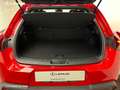 Lexus UX 250h Business 2WD Rojo - thumbnail 9