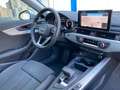 Audi A4 Avant 30 TDI MHEV Stronic Business Advanced Argento - thumbnail 13