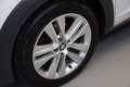 SEAT Leon ST 1.6 TDI 110cv 4Drive St&Sp X-perience Bianco - thumbnail 6