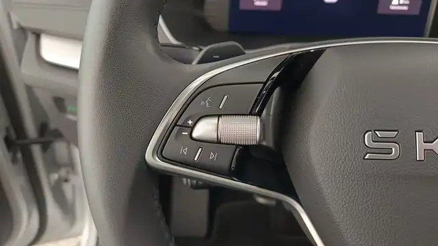Skoda Octavia view 15