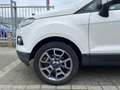 Ford EcoSport 1.5 Ti-VCT Titanium | AUT | navi | camera | Wit - thumbnail 5