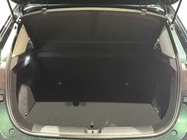 MG ZS view 7
