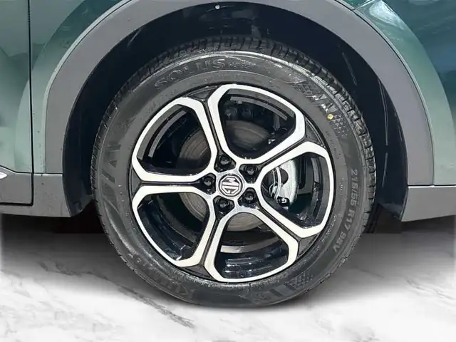 MG ZS view 8