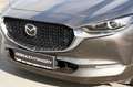 Mazda CX-30 Selection | Skyactiv-X 186 | Matrix-LED | elektr. Gris - thumbnail 4