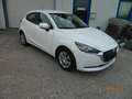 Mazda 2 2 SKYACTIV-G 90 M HYBRID ADVANTAGE Weiß - thumbnail 5