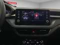 Skoda Fabia Selection 130 Jahre 1.0 TSI (Garantie 08/2030.LED. Schwarz - thumbnail 13