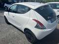 Lancia Ypsilon 1.3 MJT 16V 95 CV 5 porte S&S Elefantino Bianco - thumbnail 11