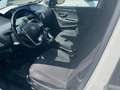 Lancia Ypsilon 1.3 MJT 16V 95 CV 5 porte S&S Elefantino Bianco - thumbnail 5