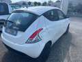 Lancia Ypsilon 1.3 MJT 16V 95 CV 5 porte S&S Elefantino Bianco - thumbnail 3