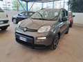 Fiat Panda Panda 1.0 Firefly Hybrid City Life S/S 70CV Gris - thumbnail 2
