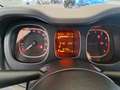 Fiat Panda Panda 1.0 Firefly Hybrid City Life S/S 70CV Gris - thumbnail 11
