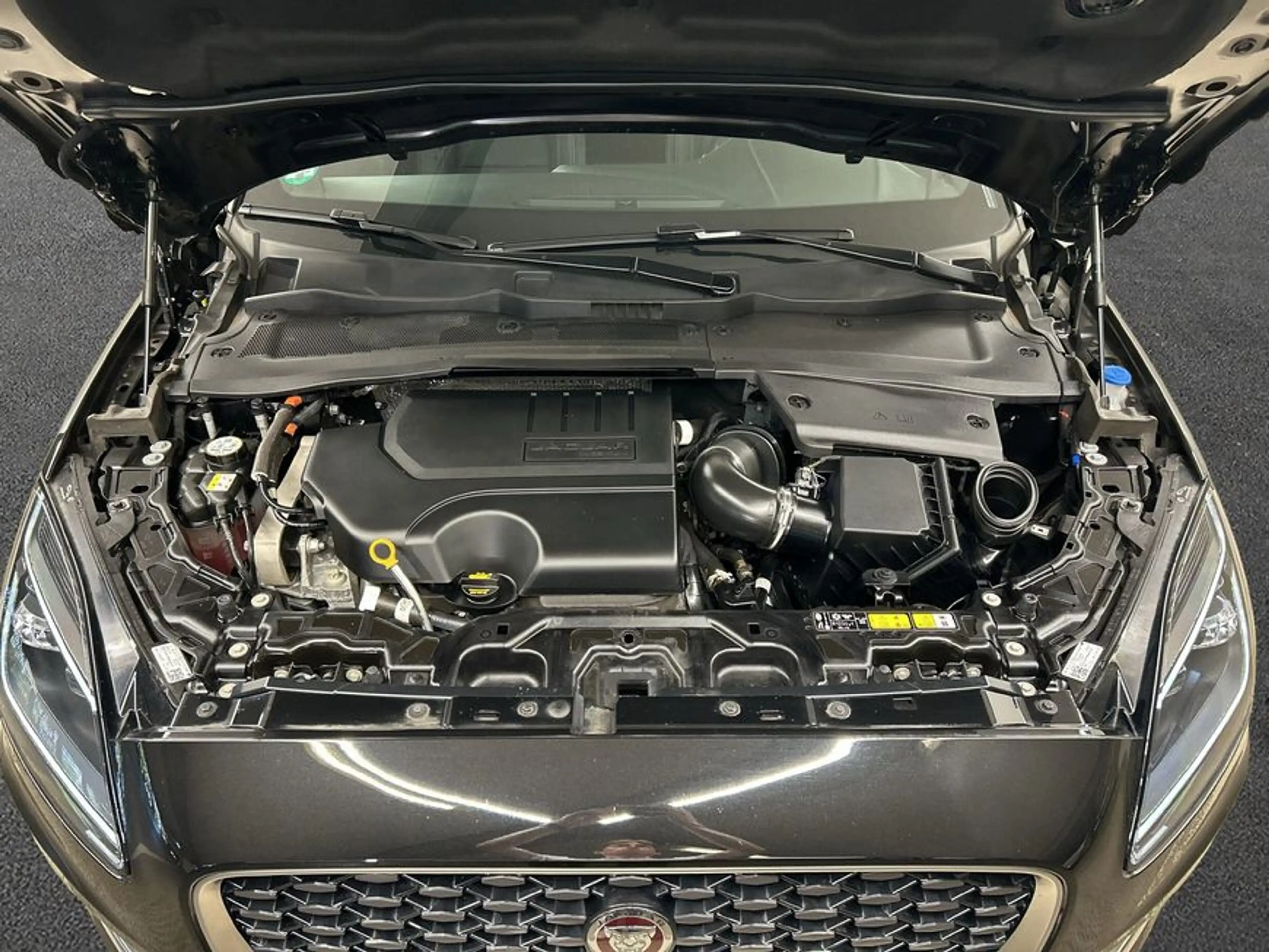 Jaguar E-Pace P200 AWD R-Dynamic SE — photo 11