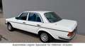 Mercedes-Benz 280 E W 123 ex Mercedes-Benz Vorstand Weiß - thumbnail 2