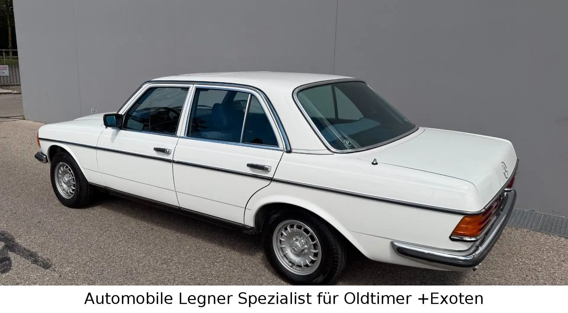 Mercedes-Benz 280 E W 123 ex Mercedes-Benz Vorstand Weiß - 2