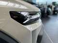 Dacia Duster Journey TCe 130 PS Beige - thumbnail 4