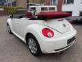 Volkswagen New Beetle Cabriolet 1.9 TDI*HIGHLINE*KLIMA*SHZ* Білий - thumbnail 3