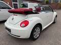 Volkswagen New Beetle Cabriolet 1.9 TDI*HIGHLINE*KLIMA*SHZ* Білий - thumbnail 5