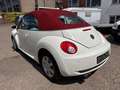Volkswagen New Beetle Cabriolet 1.9 TDI*HIGHLINE*KLIMA*SHZ* Білий - thumbnail 10