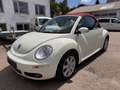 Volkswagen New Beetle Cabriolet 1.9 TDI*HIGHLINE*KLIMA*SHZ* Білий - thumbnail 9