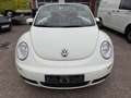 Volkswagen New Beetle Cabriolet 1.9 TDI*HIGHLINE*KLIMA*SHZ* Білий - thumbnail 2