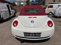 Volkswagen New Beetle Cabriolet 1.9 TDI*HIGHLINE*KLIMA*SHZ* Білий - thumbnail 11