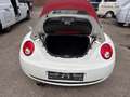 Volkswagen New Beetle Cabriolet 1.9 TDI*HIGHLINE*KLIMA*SHZ* Blanc - thumbnail 20