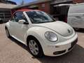 Volkswagen New Beetle Cabriolet 1.9 TDI*HIGHLINE*KLIMA*SHZ* Білий - thumbnail 7