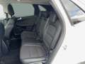 Ford Kuga 2,0 EcoBlue AWD Titanium X Aut. Weiß - thumbnail 20