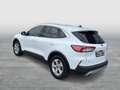 Ford Kuga 2,0 EcoBlue AWD Titanium X Aut. Weiß - thumbnail 4