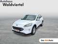 Ford Kuga 2,0 EcoBlue AWD Titanium X Aut. Weiß - thumbnail 1