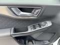 Ford Kuga 2,0 EcoBlue AWD Titanium X Aut. Weiß - thumbnail 21