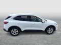 Ford Kuga 2,0 EcoBlue AWD Titanium X Aut. Weiß - thumbnail 6