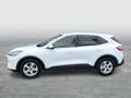 Ford Kuga 2,0 EcoBlue AWD Titanium X Aut. Weiß - thumbnail 3