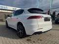 Maserati Grecale Grecale 2.0 Turbo MHEV Modena-Cuir Rosso-New Blanc - thumbnail 4