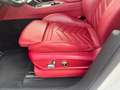 Maserati Grecale Grecale 2.0 Turbo MHEV Modena-Cuir Rosso-New Blanc - thumbnail 17