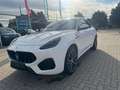 Maserati Grecale Grecale 2.0 Turbo MHEV Modena-Cuir Rosso-New Blanc - thumbnail 6