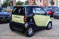 smart forTwo city-coupe Pulse KLIMAAUTOMATIK PANORAMA Pulse Grün - thumbnail 4