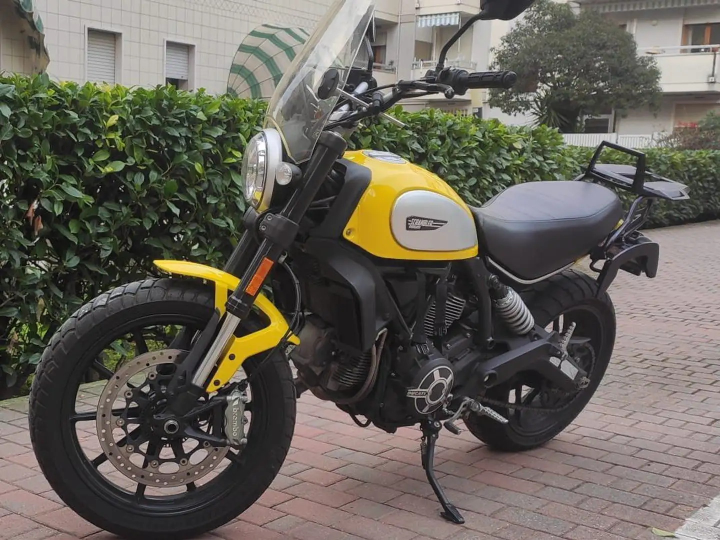 Ducati Scrambler Icon 803 Giallo - 1