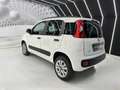 Fiat Panda Panda III 2012 0.9 t.air t. natural power Pop 80cv Bianco - thumbnail 4