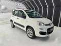 Fiat Panda Panda III 2012 0.9 t.air t. natural power Pop 80cv Bianco - thumbnail 2
