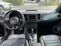 Volkswagen Beetle Lim. Sport *200PS*Automatik* Noir - thumbnail 12