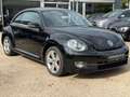 Volkswagen Beetle Lim. Sport *200PS*Automatik* Noir - thumbnail 3