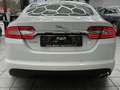 Jaguar XF 2.2 Diesel, 2.Hand, Leder, Navi, Bi-Xenon Weiß - thumbnail 2