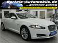 Jaguar XF 2.2 Diesel, 2.Hand, Leder, Navi, Bi-Xenon Weiß - thumbnail 1