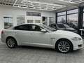 Jaguar XF 2.2 Diesel, 2.Hand, Leder, Navi, Bi-Xenon Weiß - thumbnail 4