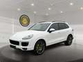 Porsche Cayenne Cayenne Plug-In Hybrid II Weiß - thumbnail 1